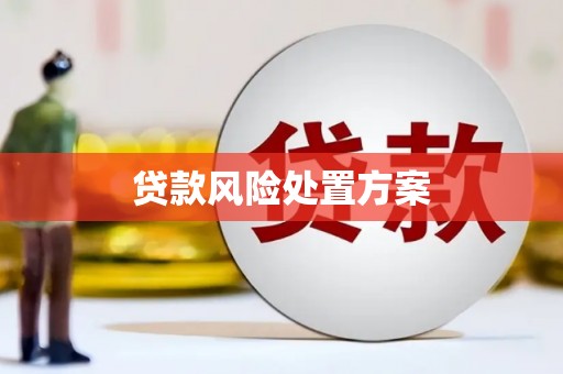 盐边贷款风险处置方案