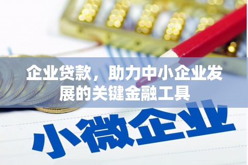 盐边企业贷款，助力中小企业发展的关键金融工具