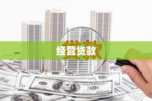盐边经营贷款