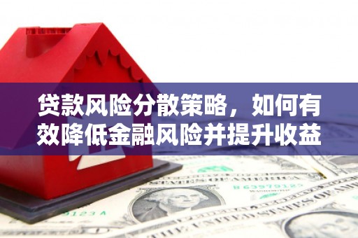 盐边贷款风险分散策略，如何有效降低金融风险并提升收益
