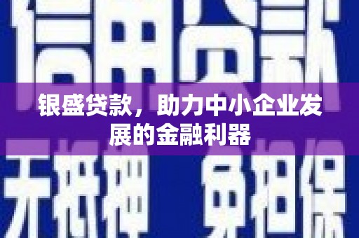 盐边银盛贷款，助力中小企业发展的金融利器