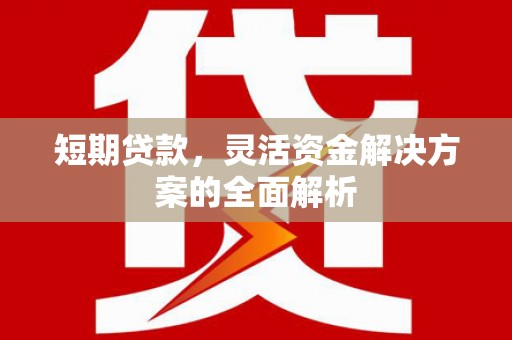 盐边短期贷款，灵活资金解决方案的全面解析