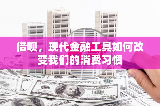 盐边借呗，现代金融工具如何改变我们的消费习惯