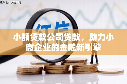 盐边小额贷款公司贷款，助力小微企业的金融新引擎