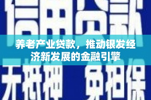 盐边养老产业贷款，推动银发经济新发展的金融引擎