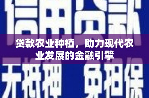 盐边贷款农业种植，助力现代农业发展的金融引擎