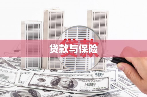 盐边贷款与保险