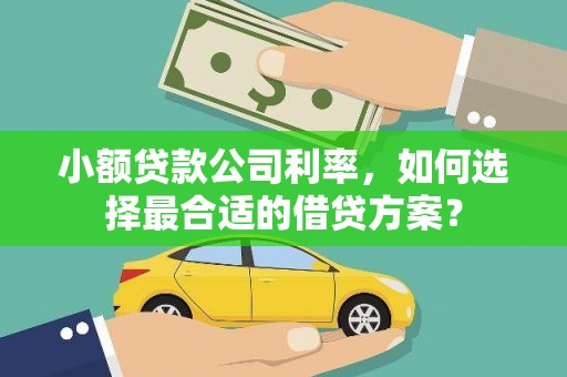 盐边小额贷款公司利率，如何选择最合适的借贷方案？