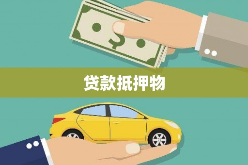 盐边贷款抵押物