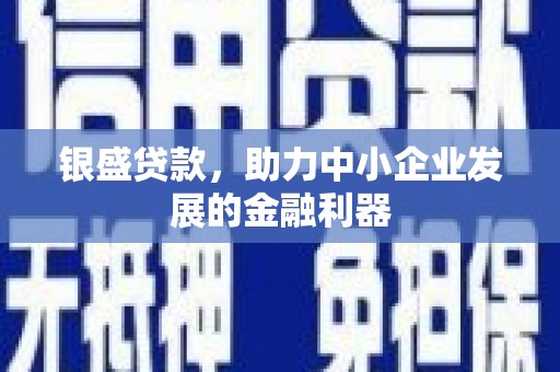 盐边银盛贷款，助力中小企业发展的金融利器