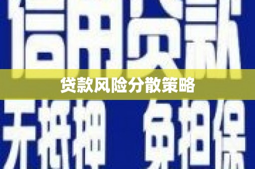 盐边贷款风险分散策略