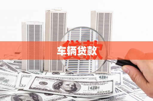 盐边车辆贷款