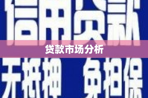 盐边贷款市场分析