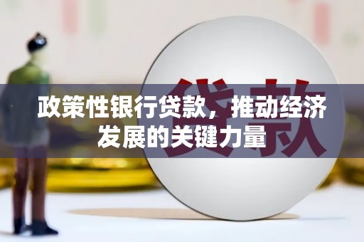 盐边政策性银行贷款，推动经济发展的关键力量