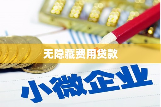 盐边无隐藏费用贷款