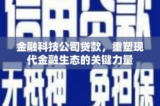 盐边金融科技公司贷款，重塑现代金融生态的关键力量