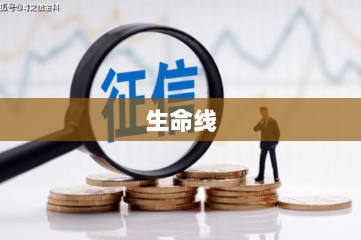 盐边生命线