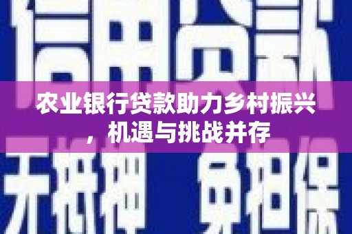 盐边农业银行贷款助力乡村振兴，机遇与挑战并存