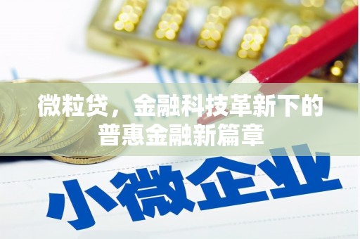 盐边微粒贷，金融科技革新下的普惠金融新篇章