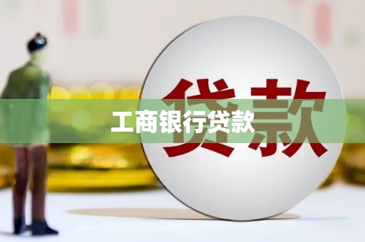 盐边工商银行贷款
