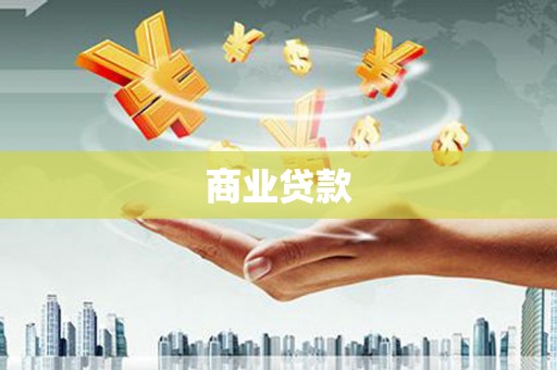 盐边商业贷款