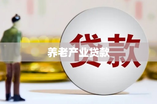 盐边养老产业贷款