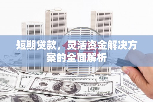 盐边短期贷款，灵活资金解决方案的全面解析