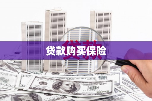 盐边贷款购买保险