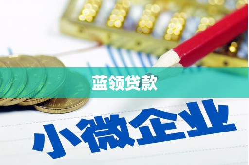 盐边蓝领贷款