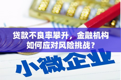 盐边贷款不良率攀升，金融机构如何应对风险挑战？