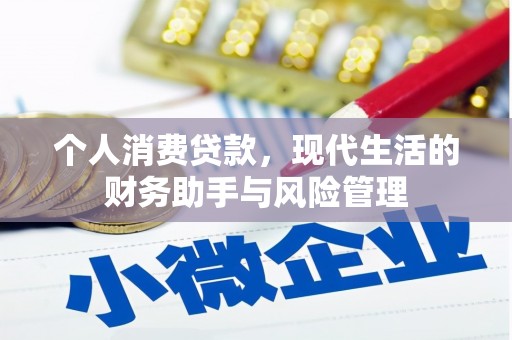 盐边个人消费贷款，现代生活的财务助手与风险管理