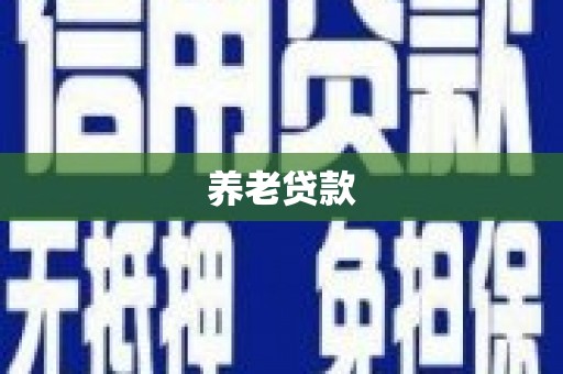 盐边养老贷款
