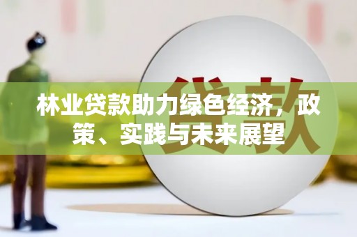 盐边林业贷款助力绿色经济，政策、实践与未来展望
