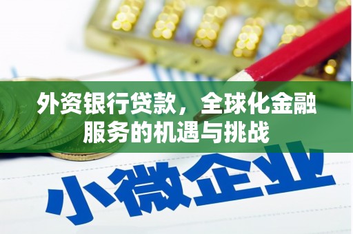 盐边外资银行贷款，全球化金融服务的机遇与挑战