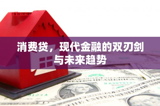 盐边消费贷，现代金融的双刃剑与未来趋势