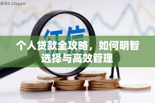 盐边个人贷款全攻略，如何明智选择与高效管理