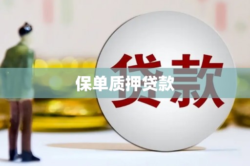 盐边保单质押贷款