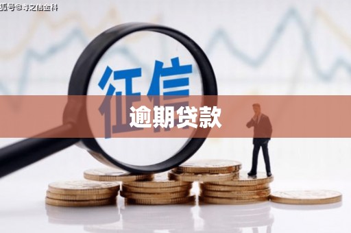 盐边逾期贷款