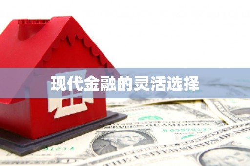 盐边现代金融的灵活选择