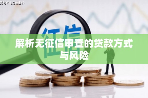 盐边解析无征信审查的贷款方式与风险