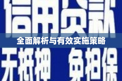 盐边全面解析与有效实施策略