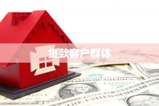 盐边贷款客户群体