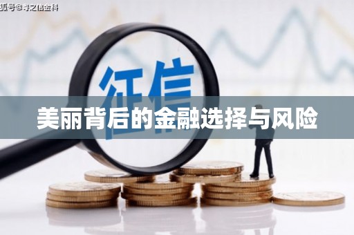 盐边美丽背后的金融选择与风险