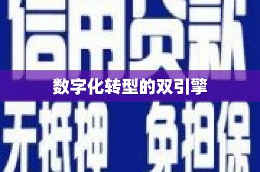 盐边数字化转型的双引擎