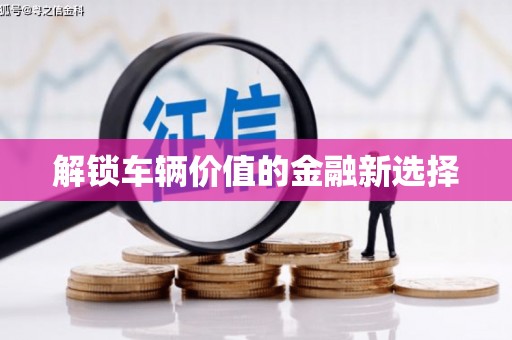 盐边解锁车辆价值的金融新选择