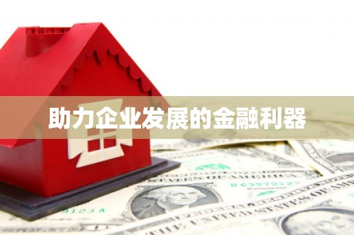 盐边助力企业发展的金融利器
