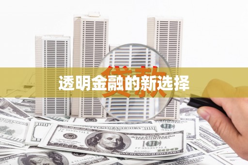 盐边透明金融的新选择