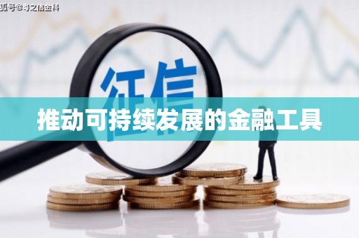 盐边推动可持续发展的金融工具
