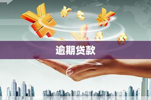 盐边逾期贷款