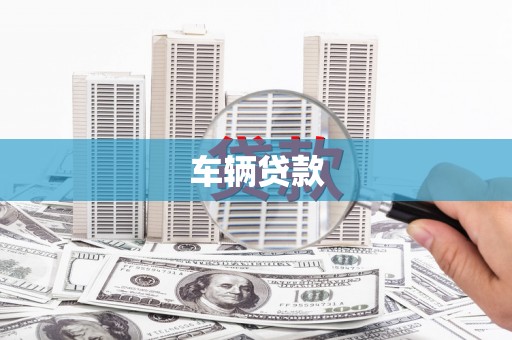 盐边车辆贷款